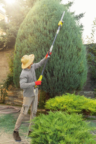 Leaf Removal in Boonville, MO